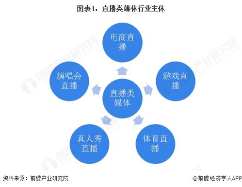 2025年中國傳媒行業(yè)細分市場分析 技術(shù)賦能與垂類深耕驅(qū)動下的網(wǎng)絡(luò)技術(shù)開發(fā)生態(tài)